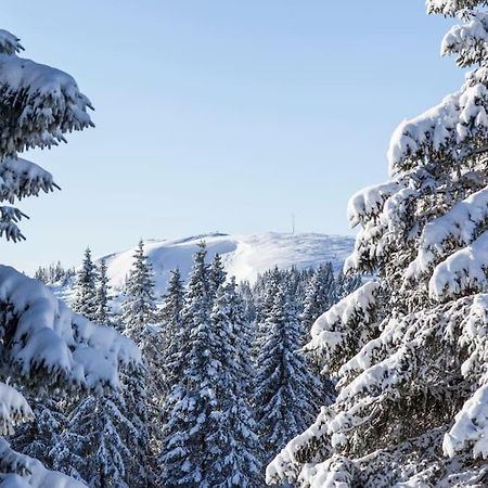 Waldblick Titisee 외부 사진