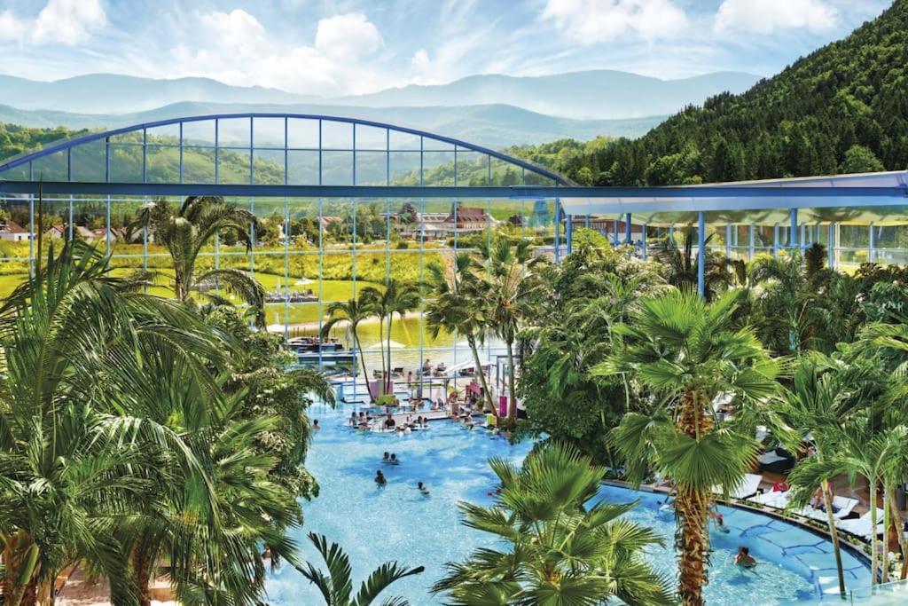 Waldblick Titisee 외부 사진
