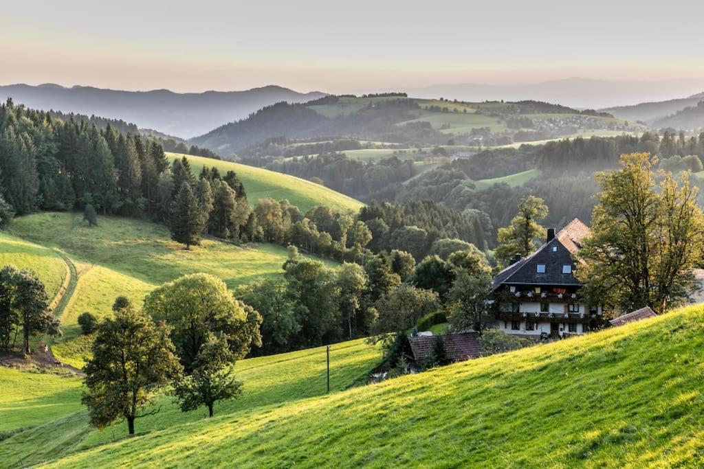 Waldblick Titisee 외부 사진
