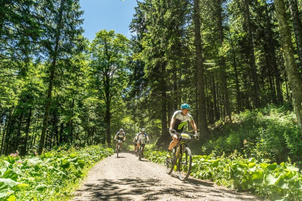 Waldblick Titisee 외부 사진