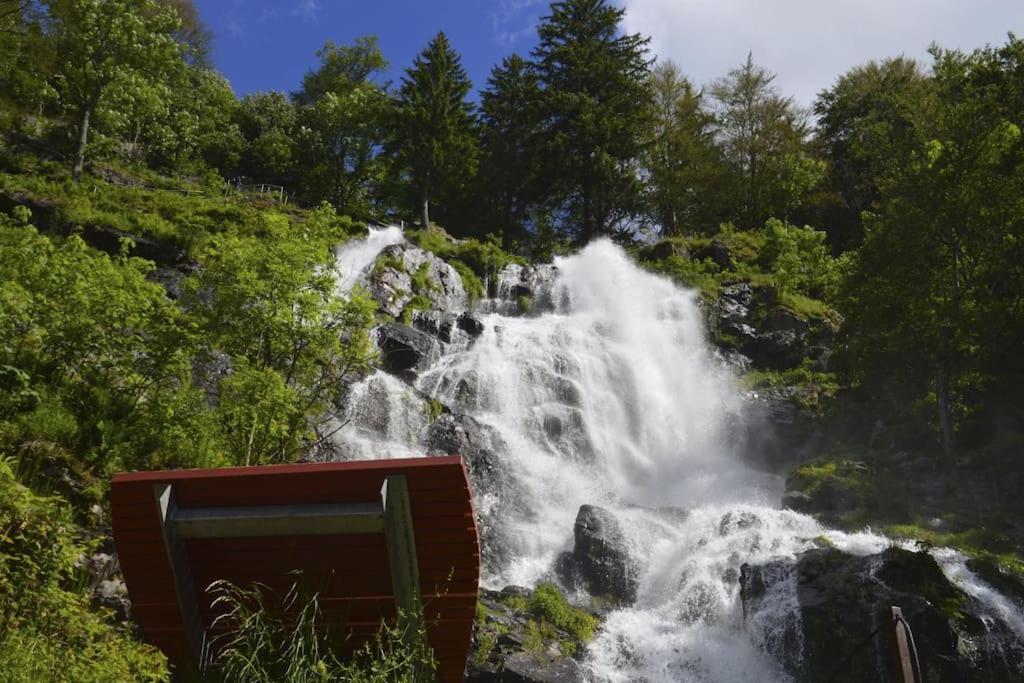 Waldblick Titisee 외부 사진